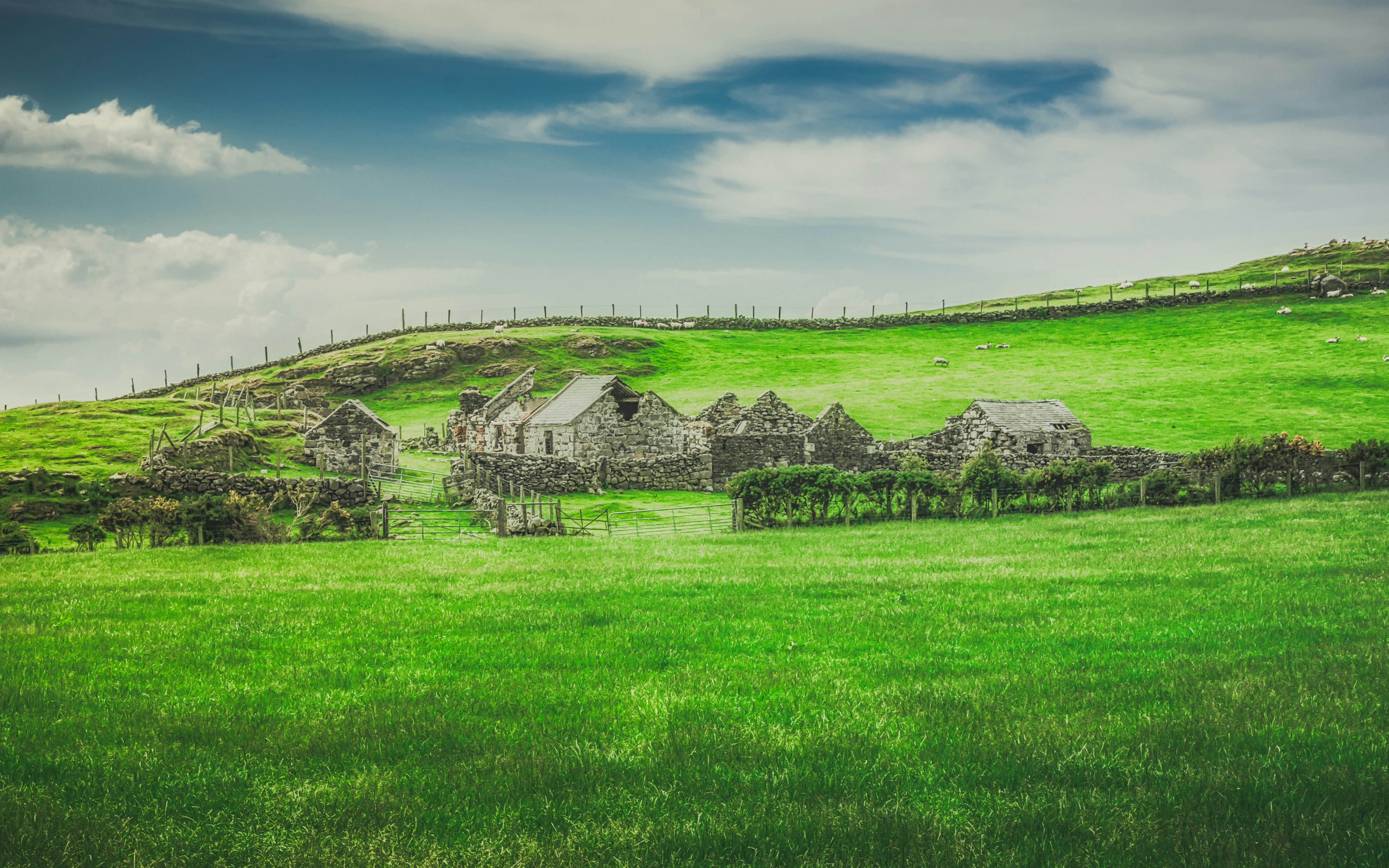 grayscale photo of house on green grass field